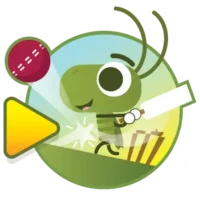 Doodle Cricket