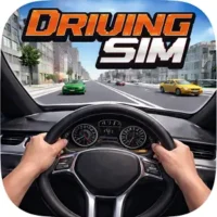 Car Driving Sim