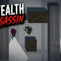 Stealth Assassin